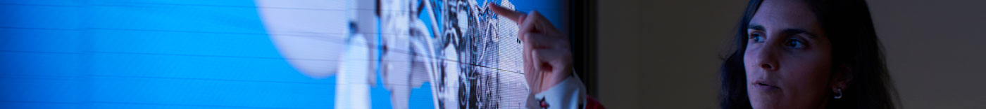 Bild zu Customs Compliance Analyst